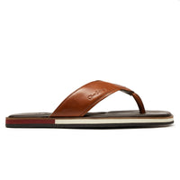 Thumbnail of Saltash Tan
