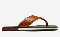 Thumbnail of Saltash Tan