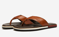 Thumbnail of Saltash Tan