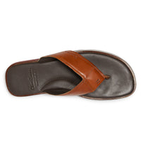 Thumbnail of Saltash Tan