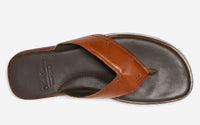 Thumbnail of Saltash Tan