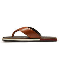Thumbnail of Saltash Tan