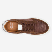 Thumbnail of Serta Brown