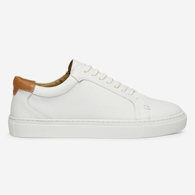 Tollesby White