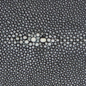 Closeup of Stingray hide