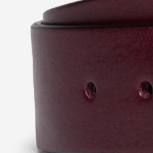Closeup of Vegetable tanned calf leather
