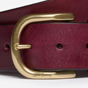 Closeup of Polished brass buckle