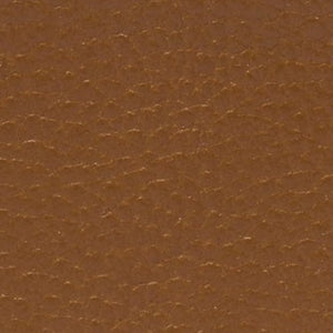 Closeup of Calf leather
