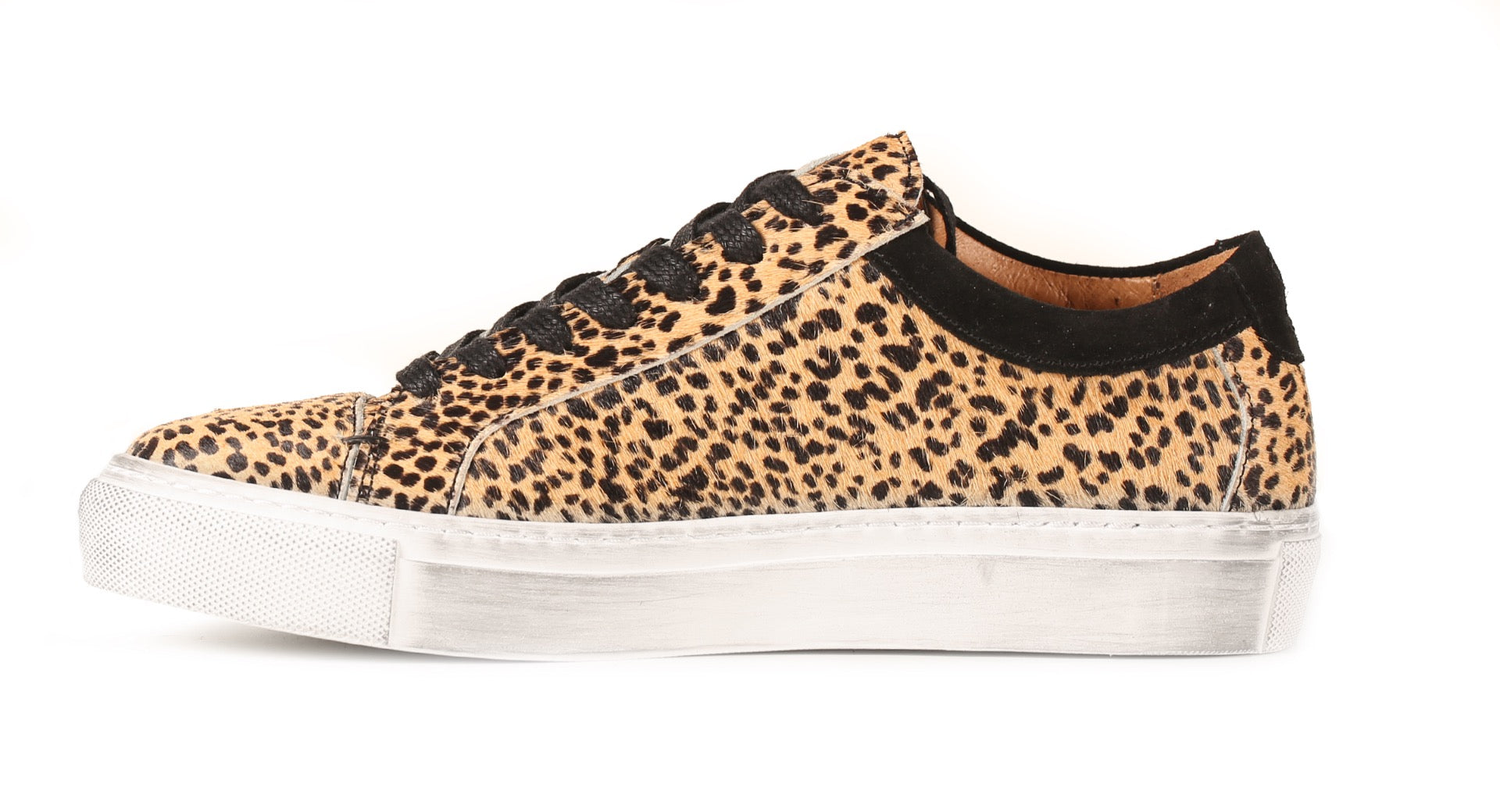 Guarda Leopard